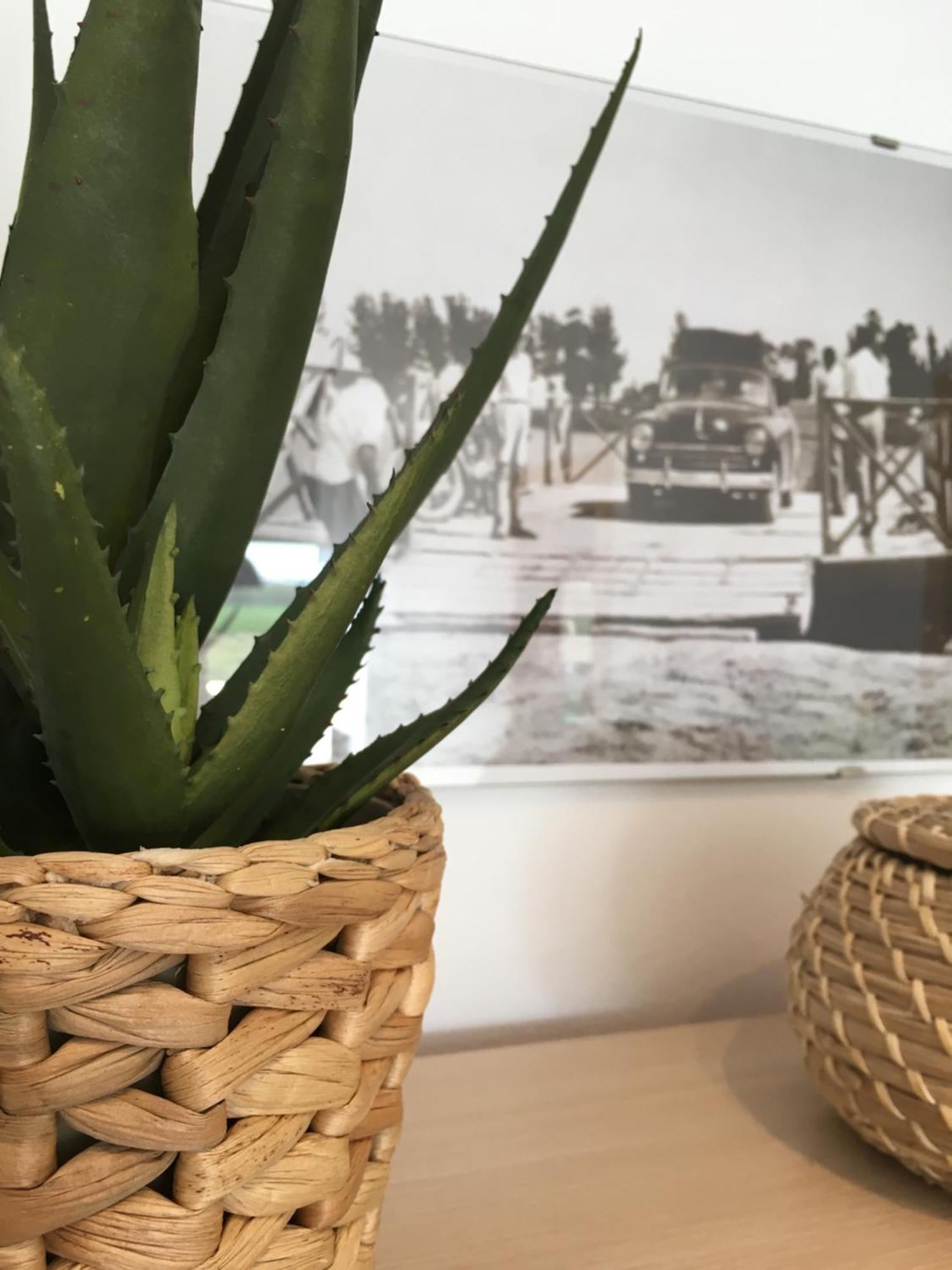 Apartament Lo Passador Deltebre Bagian luar foto