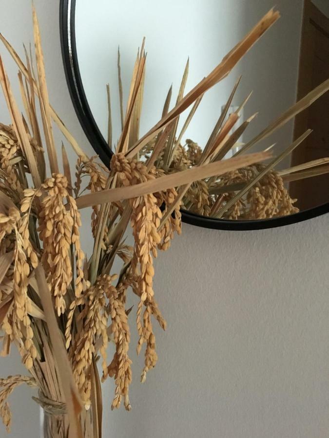 Apartament Lo Passador Deltebre Bagian luar foto